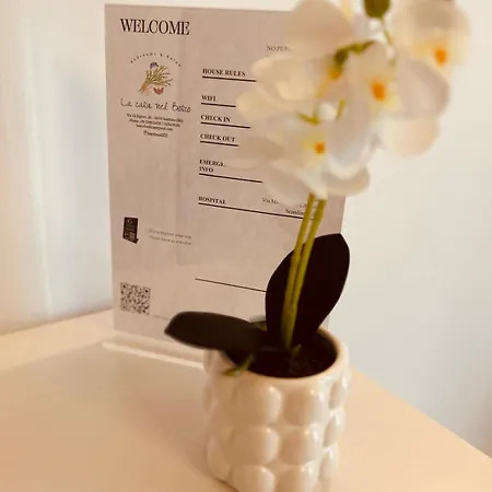 La Casa Nel Bosco Konukevi