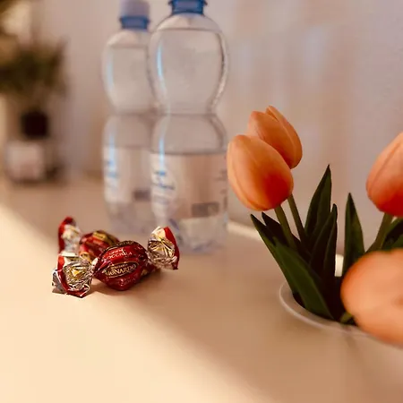 招待所 La Casa Nel Bosco