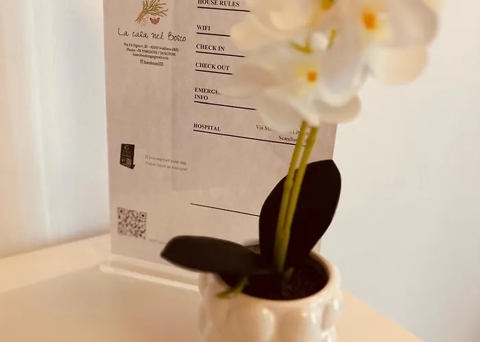 La Casa Nel Bosco Gasthuis